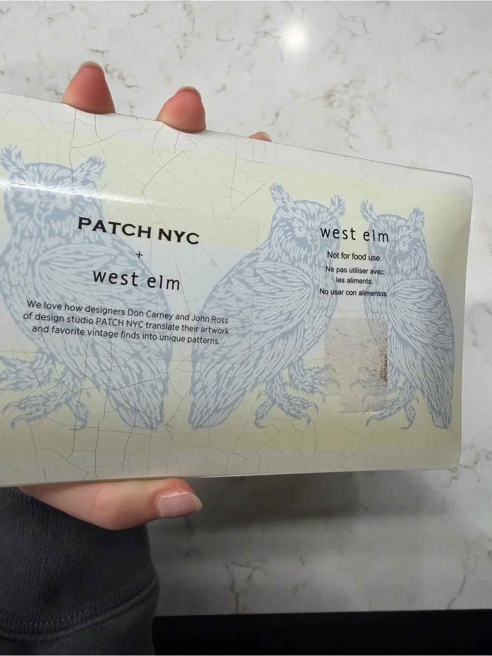 West Elm Patch NYC Owl Decorative Glass Tray